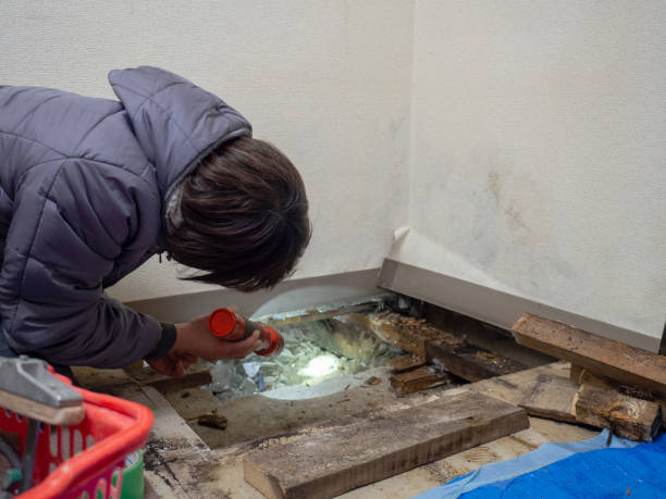 Best Mold Remediation for Healthcare Facilities  in Jacksonville, AR