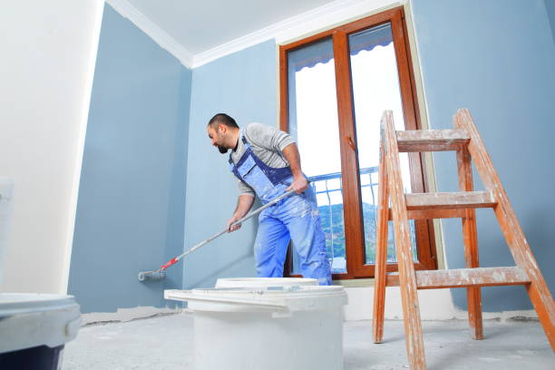 Best Environmental Consulting for Mold Prevention  in Jacksonville, AR