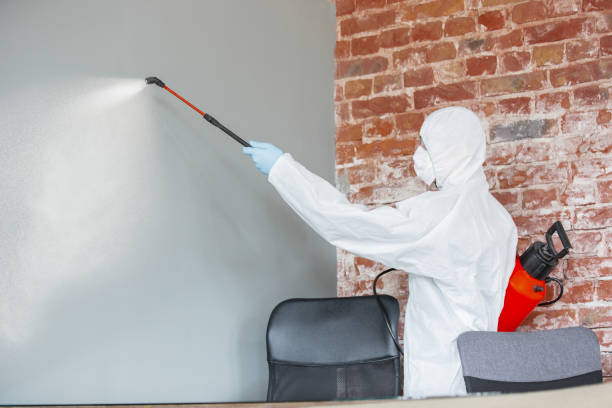 Mold Remediation for Rental Properties in Jacksonville, AR
