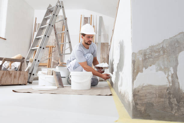 Best Mold Remediation for Rental Properties  in Jacksonville, AR