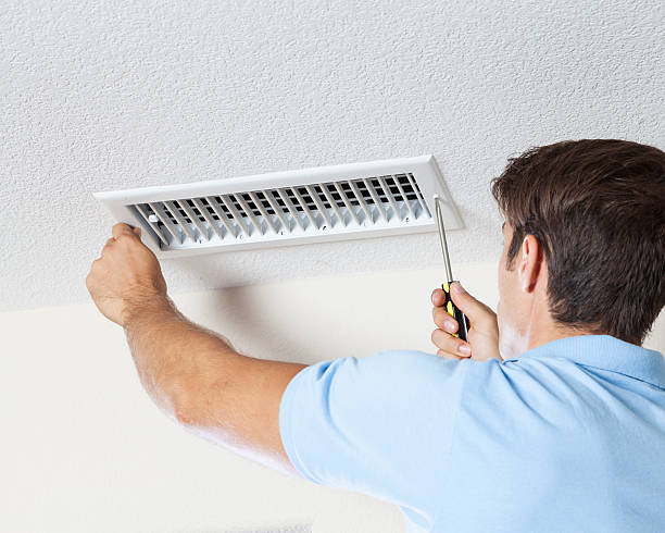 Best Mold Remediation for Vacation Homes  in Jacksonville, AR
