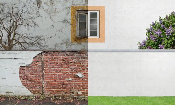 Best Basement Mold Removal  in Jacksonville, AR